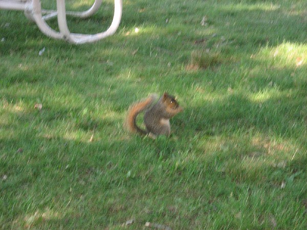 julyvisithome08 012.jpg